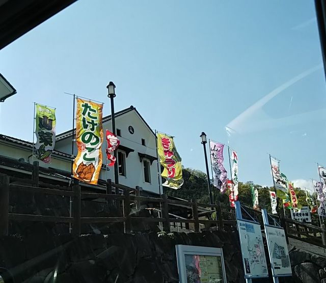 1日目_たけのこ.jpg
