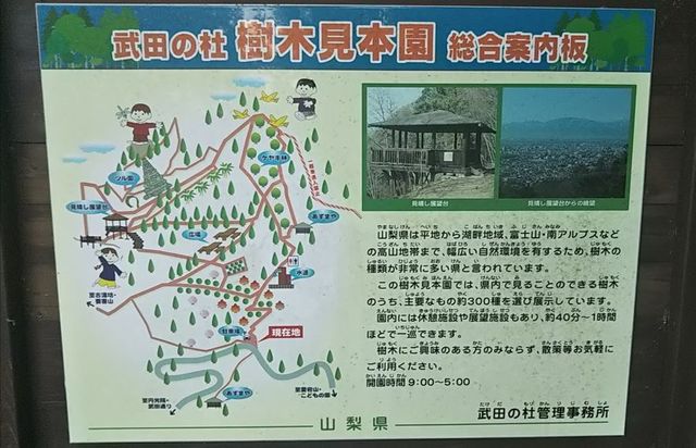 2日目_樹木見本園.jpg
