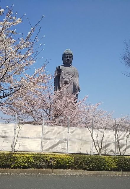 大仏50.jpg