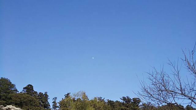 月50.jpg