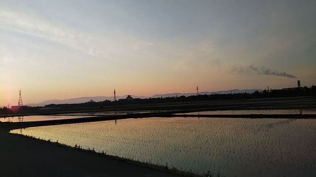 朝焼け.jpg